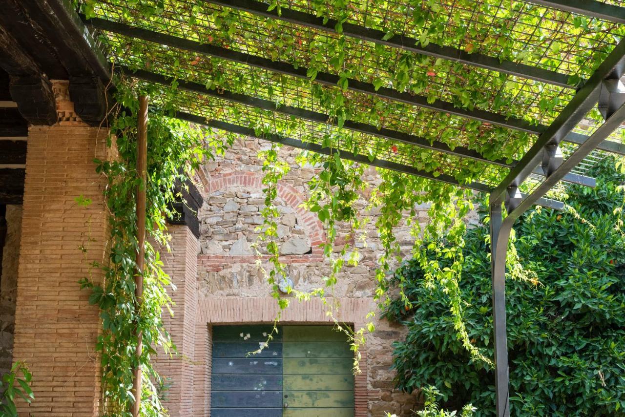 Bed and Breakfast Fattoria Pian Di Rocca Castiglione della Pescaia Exterior foto